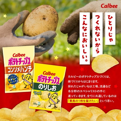 2種食べ比べセット【コンソメパンチ×のりしお】計32袋　K194-002_12