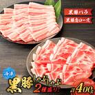 【ご自宅用】黒豚しゃぶしゃぶ2種盛!　K151-005_01