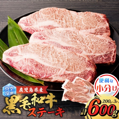 鹿児島県産 黒毛和牛ステーキ 600g　K151-010_01