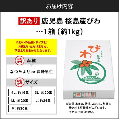 旬の朝採り! 鹿児島 桜島産びわ 1箱(訳あり品)　K343-002