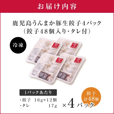 鹿児島うんまか豚生餃子4パック(餃子48個入り・タレ付)　K005-003_01