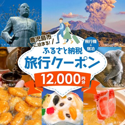 鹿児島市に泊まる(飛行機+宿泊)ふるさと納税旅行クーポン【12,000円分】　K349-001_12