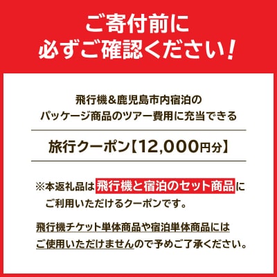 鹿児島市に泊まるふるさと納税旅行クーポン【12,000円分】　K349-001_12