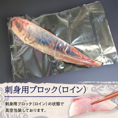 鹿児島県産カンパチ 約3.5kg 刺身用ブロック(ロイン) 活〆※真空包装　K294-003_03