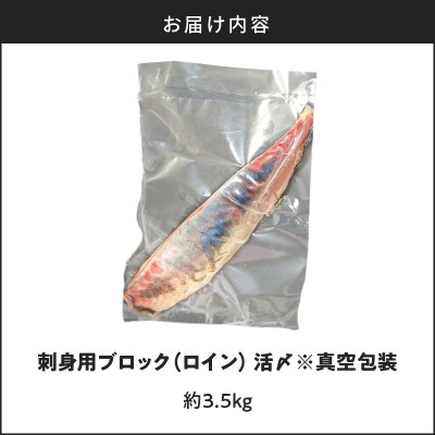 鹿児島県産カンパチ 約3.5kg 刺身用ブロック(ロイン) 活〆※真空包装　K294-003_03