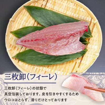 鹿児島県産カンパチ 約3.5kg 三枚卸(フィーレ) 活〆※真空包装　K294-003_02
