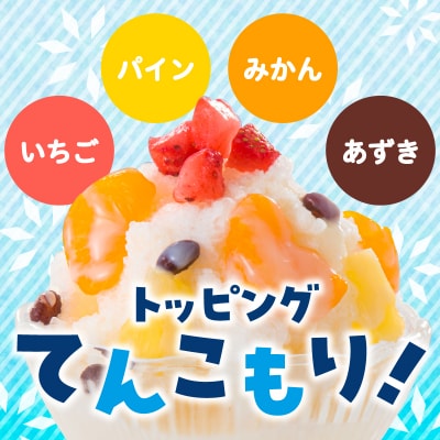 【 期間限定 生活応援 】セイカ食品 南国白くまDX・南国白くまDX(いちご味)詰め合わせセット