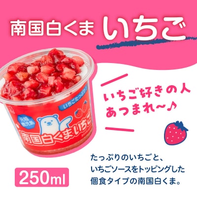 【 数量限定 】セイカ食品 南国白くまDX・南国白くまDX(いちご味)詰め合わせセット