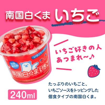 【 数量限定 】セイカ食品 南国白くまDX・南国白くまDX(いちご味)詰め合わせセット