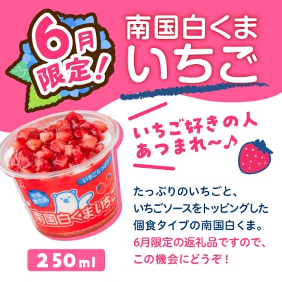【 期間限定 生活応援 】セイカ食品 南国白くまDX・南国白くまDX(いちご味)詰め合わせセット
