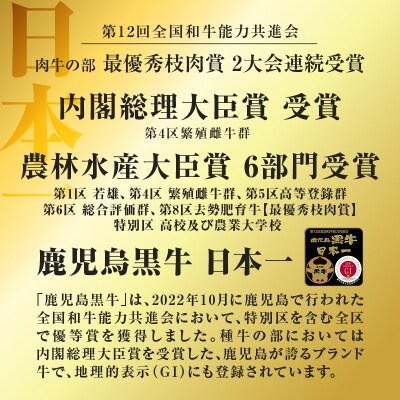 【 期間限定 特別価格 】(KH-201)鹿児島黒牛リブローススライスセット(計700g)
