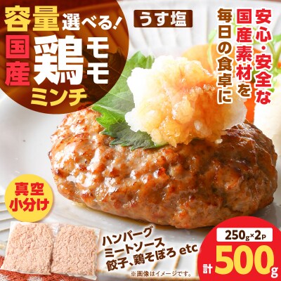 国産鶏モモミンチ＜うす塩＞ 計500g　K025-016_01
