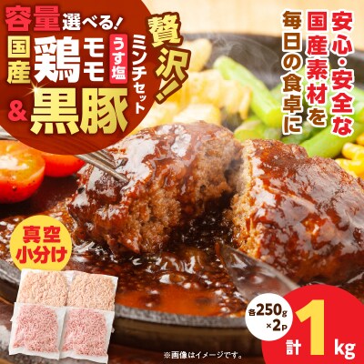 国産鶏モモミンチ＜うす塩＞+黒豚ミンチセット 計1kg　K025-017_02