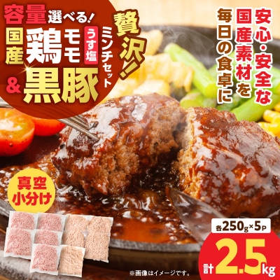 国産鶏モモミンチ<うす塩>+黒豚ミンチセット 計2.5kg　K025-017_05