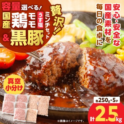 国産鶏モモミンチ＜うす塩＞+黒豚ミンチセット 計2.5kg　K025-017_05