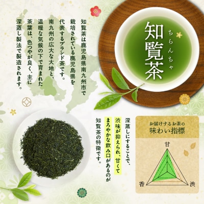 かごしま知覧茶 (100g×1袋)　K346-001_01