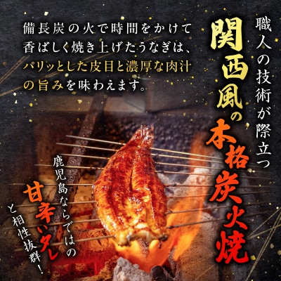 職人が丁寧に仕上げる本格炭火焼 鹿児島県産うなぎの蒲焼き 2尾　K282-001_01