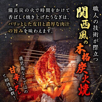 職人が丁寧に仕上げる本格炭火焼 鹿児島県産うなぎの蒲焼き 5尾　K282-001_02