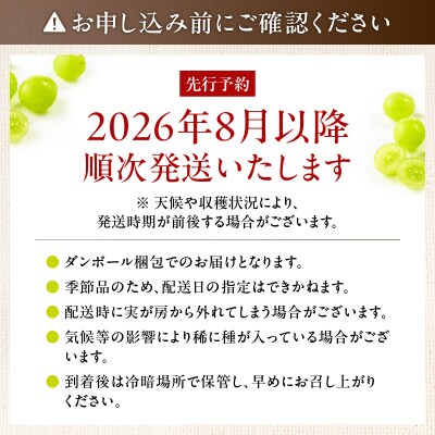 【2026年先行受付】【桜島産】シャインマスカット 1房　K260-001_01