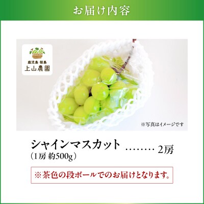 【2026年先行受付】【桜島産】シャインマスカット 2房　K260-001_02