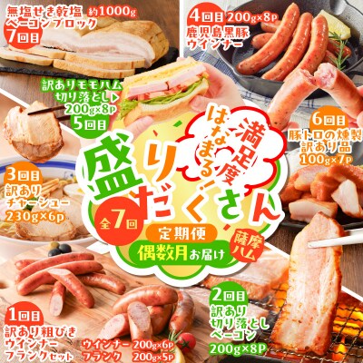 【全7回】盛りだくさん定期便(偶数月にお届け)　K161-T06e