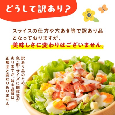 【全7回】盛りだくさん定期便(偶数月にお届け)　K161-T06e