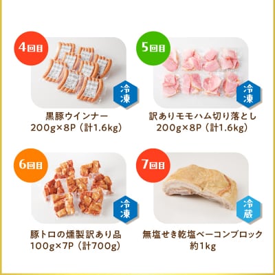 【全7回】盛りだくさん定期便(偶数月にお届け)　K161-T06e