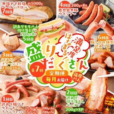 【全7回】盛りだくさん定期便(毎月お届け)　K161-T07m