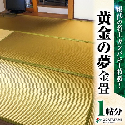 現代の名工カンパニー特製!黄金の夢(畳1帖サイズ)　K348-005