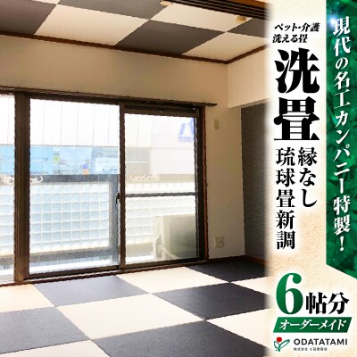 ペット・介護洗える畳『洗畳』縁無琉球畳新調6帖サイズ(畳半帖サイズ12枚)　K348-014