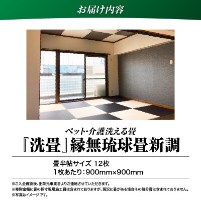 ペット・介護洗える畳『洗畳』縁無琉球畳新調6帖サイズ(畳半帖サイズ12枚)　K348-014