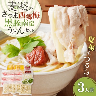 麦のはなのさつま西郷梅黒豚南蛮うどんセット　K071-006