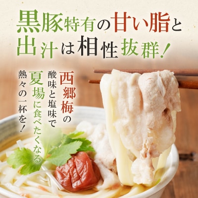 麦のはなのさつま西郷梅黒豚南蛮うどんセット　K071-006