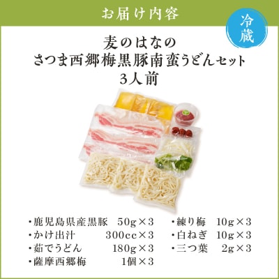 麦のはなのさつま西郷梅黒豚南蛮うどんセット　K071-006