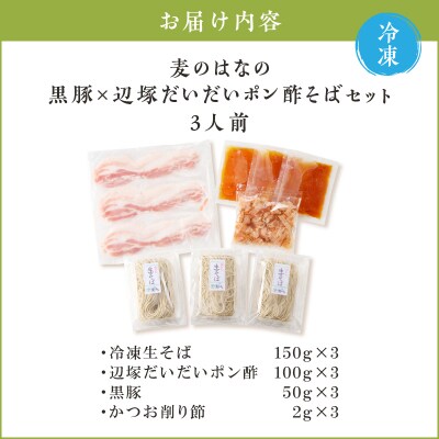 麦のはなの黒豚×辺塚だいだいポン酢そばセット【3人前】　K071-008