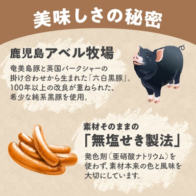 アベル牧場黒豚無塩せきウィンナー 12パック　K356-001