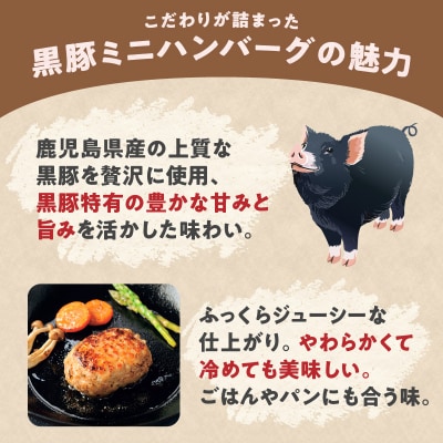 鹿児島県産黒豚 生ハンバーグ詰合せ　K356-005
