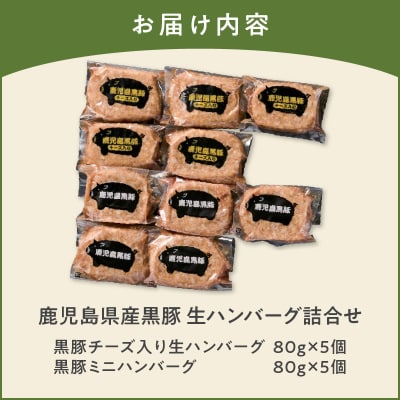 鹿児島県産黒豚 生ハンバーグ詰合せ　K356-005