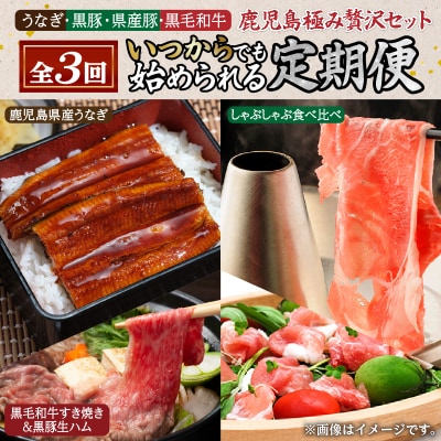 【いつからでも定期便全3回】うなぎ・黒豚・県産豚・黒毛和牛「鹿児島極み贅沢セット」　K086-T09