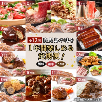 【生活応援 ハンバーグ2P付き】期間限定【全12回定期便】鹿児島自慢の豚・牛・うなぎまんぷく定期便　