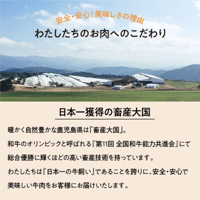 <お試し>A5等級 鹿児島県産 黒毛和牛 赤身 ステーキ 400g　K002-050_04