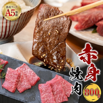 A5等級 鹿児島県産 黒毛和牛 赤身 焼肉 800g　K002-051_08