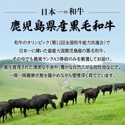 A5等級 鹿児島県産 黒毛和牛 赤身 焼肉 800g　K002-051_08