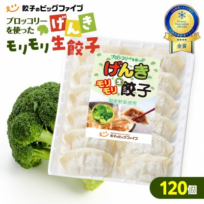 【 生活応援 うんまか生餃子1P付き 】 期間限定 げんきモリモリ生餃子 120個