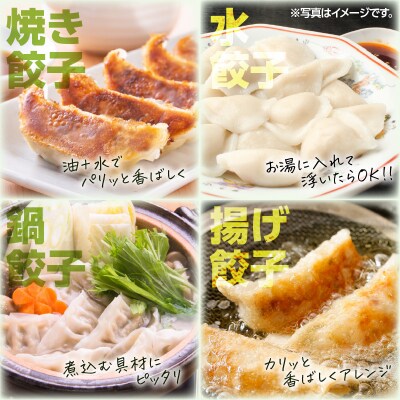 げんきモリモリ生餃子 120個　K027-010_02