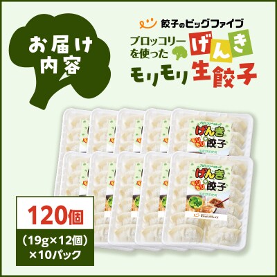 げんきモリモリ生餃子 120個　K027-010_02