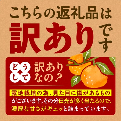 【訳あり品】旬の朝採り!鹿児島桜島小みかん 1箱　K343-003