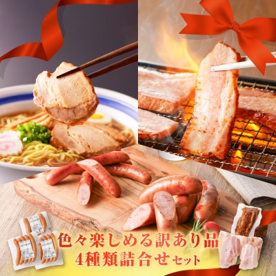 色々楽しめる訳あり品4種類詰合せセット　K161-029_03
