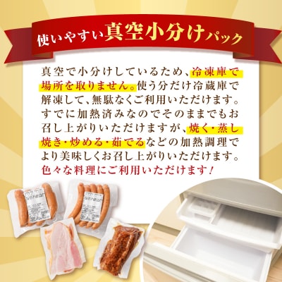 色々楽しめる訳あり品4種類詰合せセット　K161-029_03