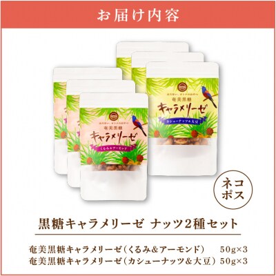 黒糖キャラメリーゼ ナッツ2種セット　K275-004